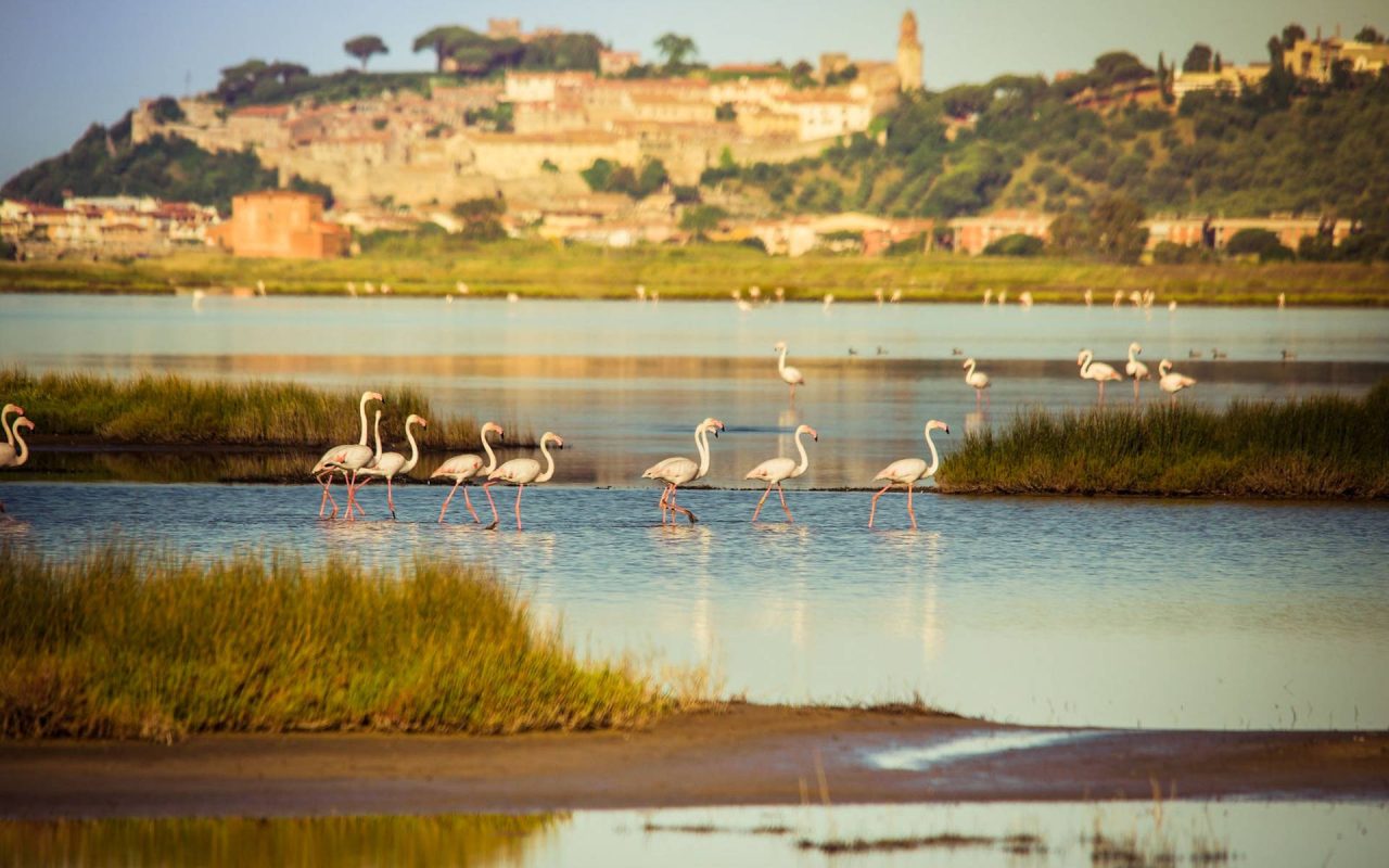 Agriturismo a Marina di Grosseto con Piscina e SPA
